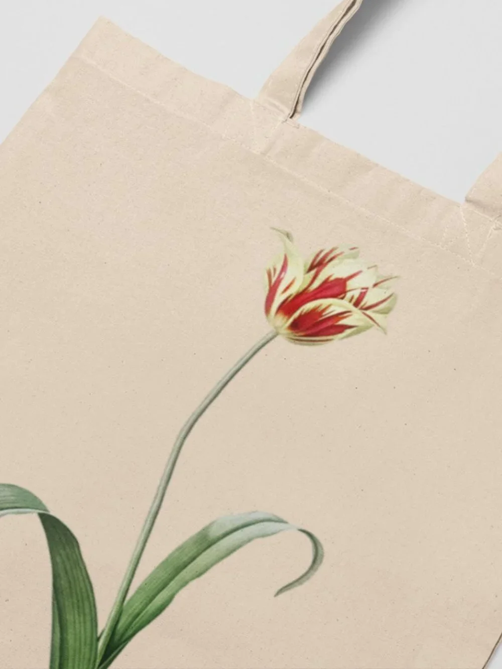 Didier's Tulip Vintage Floral Print Graphic Canvas Tote Bag